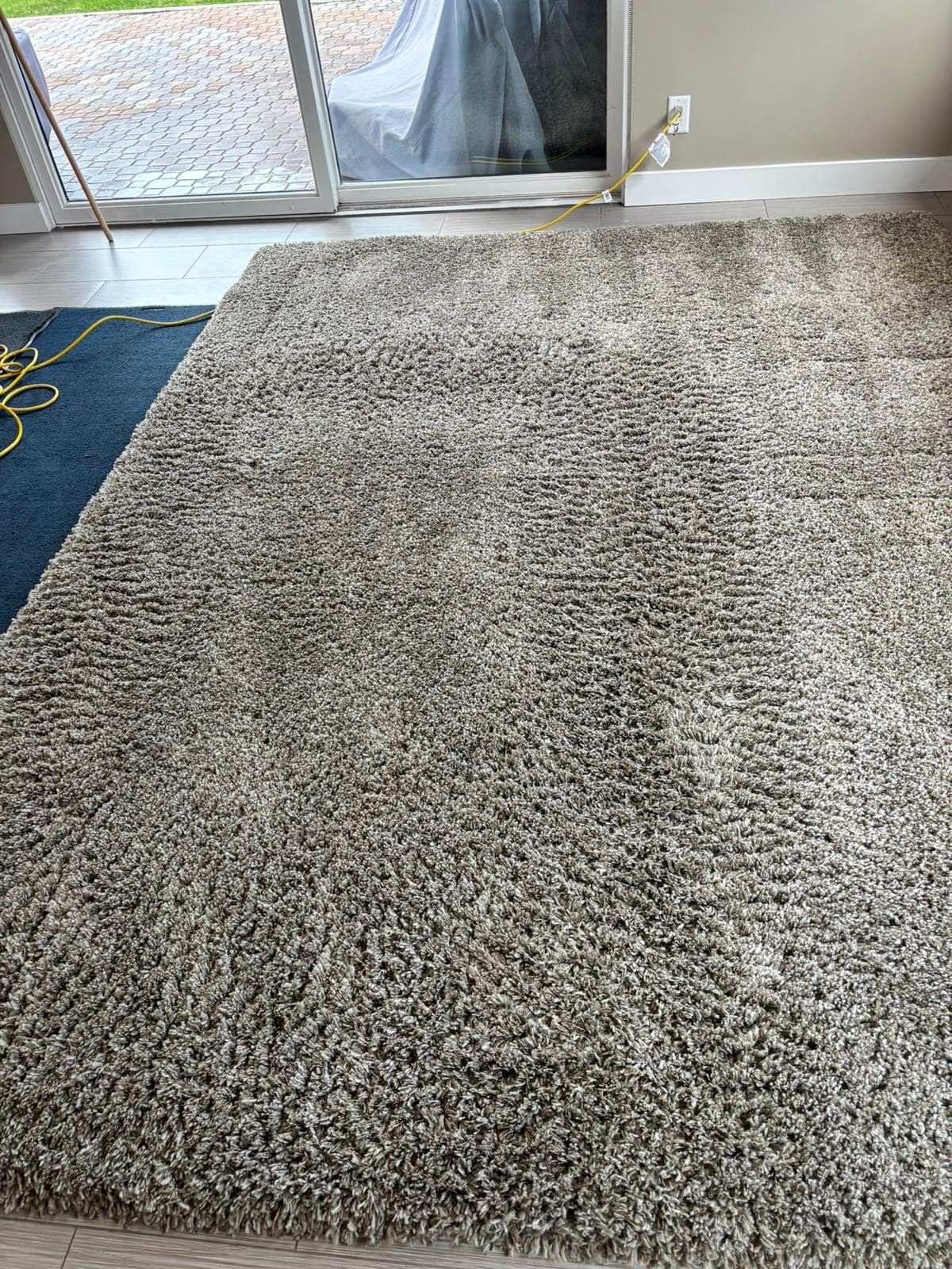 Grey area rug with visible cleaning passes beside a sliding patio door.